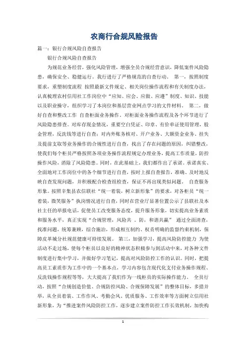 农商行合规风险报告