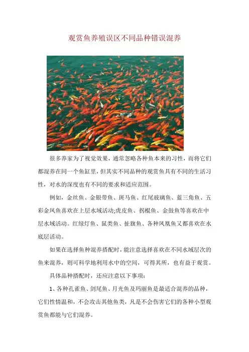 观赏鱼养殖误区不同品种错误混养