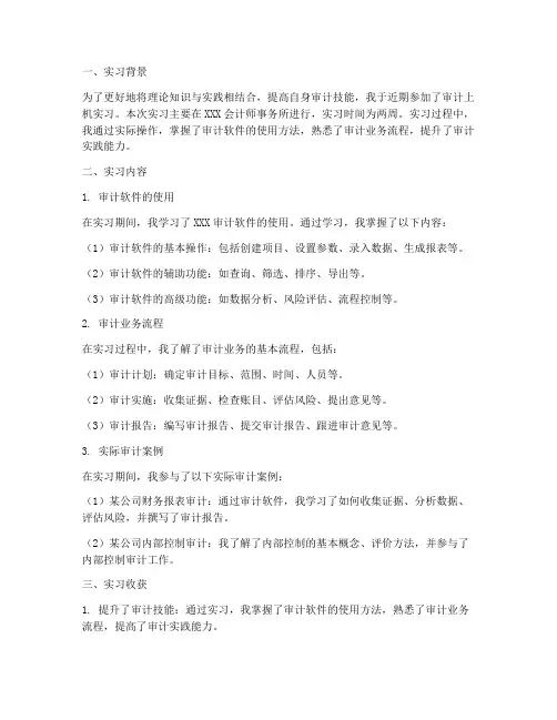 审计上机实习报告