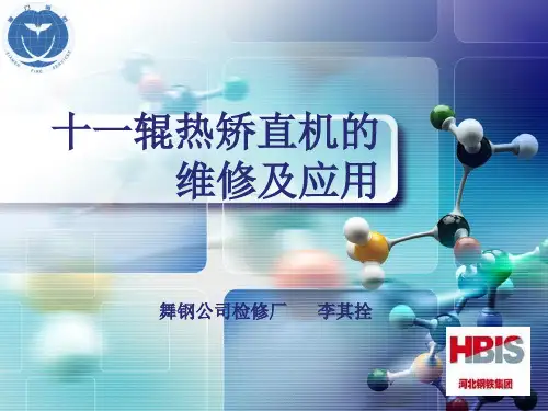 11辊热矫直机的维修及应用