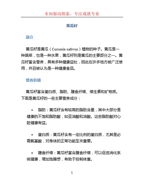 黄瓜籽文档