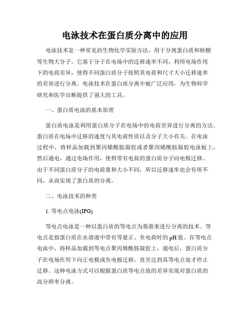 电泳技术在蛋白质分离中的应用