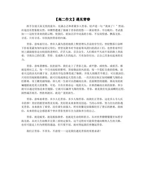 【高二作文】遇见青春