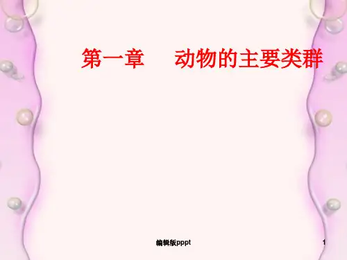 动物的主要类群复习课ppt课件