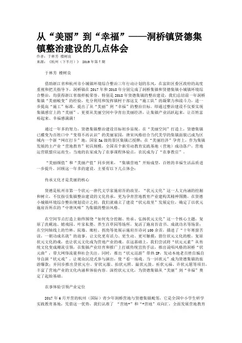 从“美丽”到“幸福”——洞桥镇贤德集镇整治建设的几点体会