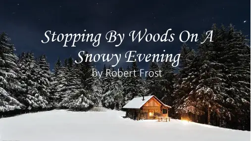 雪夜林边停