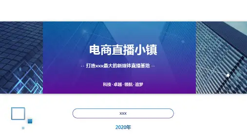 实用直播电商基地项目规划方案PPT模板下载