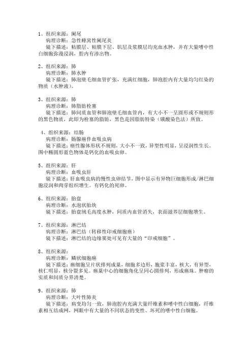 病理切片
