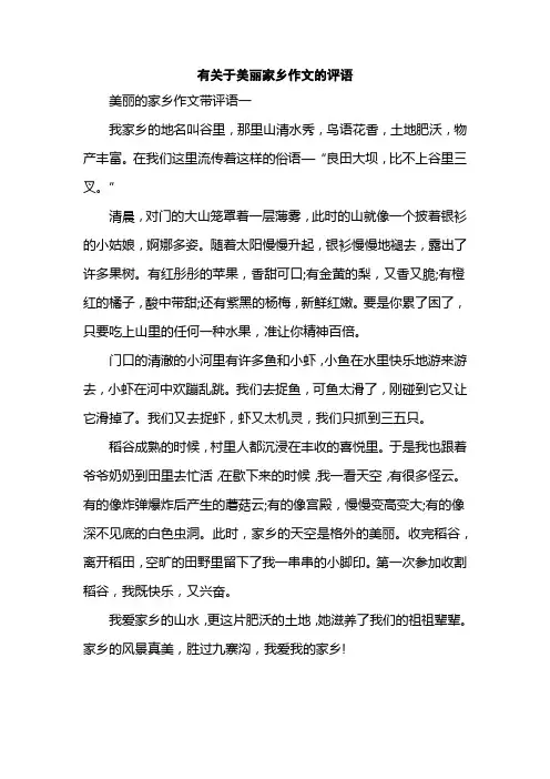 有关于美丽家乡作文的评语