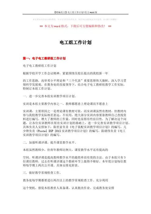 【精编范文】电工组工作计划-范文word版 (6页)