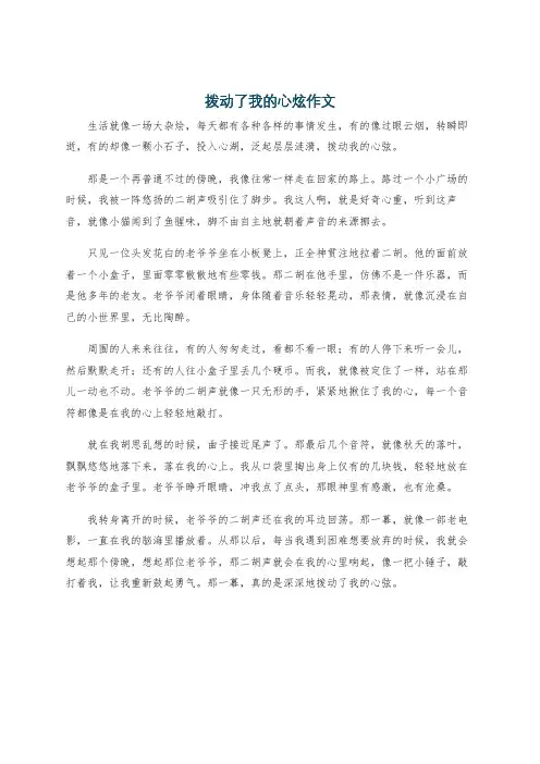 拨动了我的心炫作文