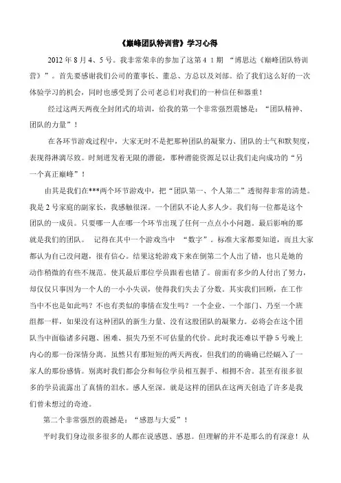 巅峰团队特训营