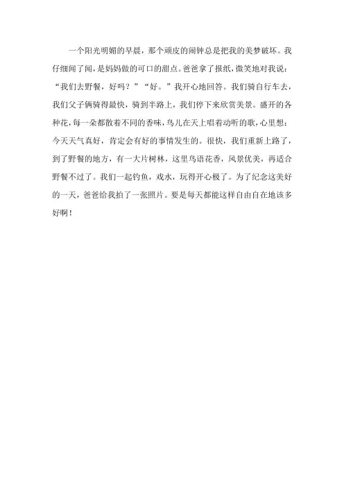 二年级下册作文250字以上开心的事