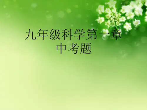 九年级科学第一章中考题