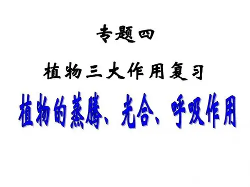 植物三大作用复习