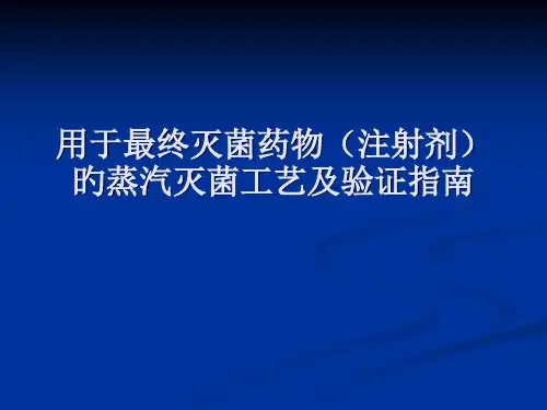 用于最终灭菌药品(注射剂)的蒸汽灭菌工艺及验证指南