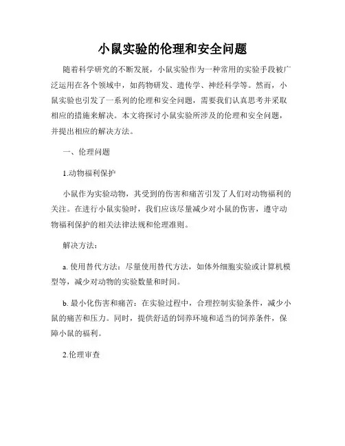 小鼠实验的伦理和安全问题