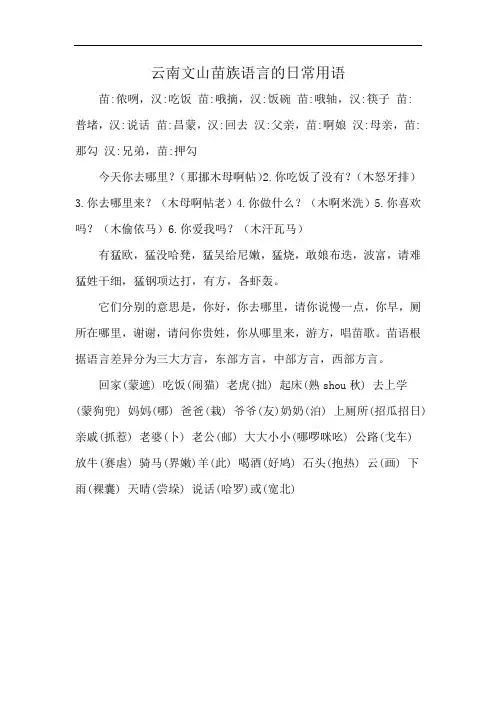 云南文山苗族语言的日常用语