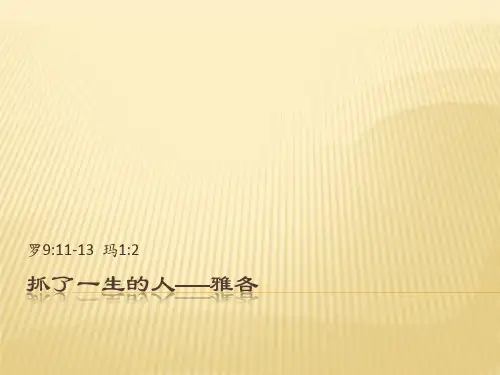 抓了一生的人——雅各
