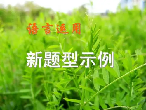 高考关键词、点评、广告词、对联的写法