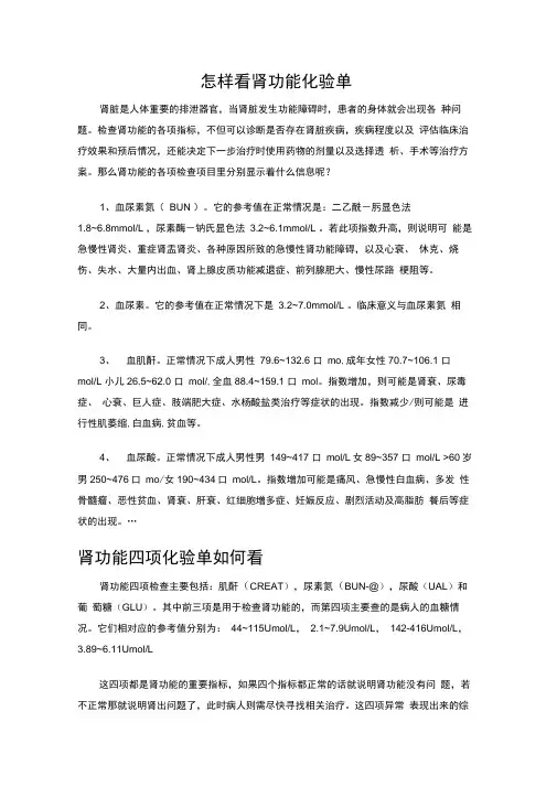 怎样看肾功能化验单