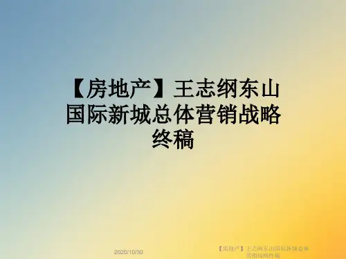 【房地产】王志纲东山国际新城总体营销战略终稿
