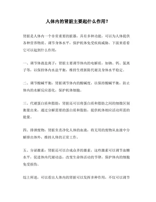 人体内的肾脏主要起什么作用？