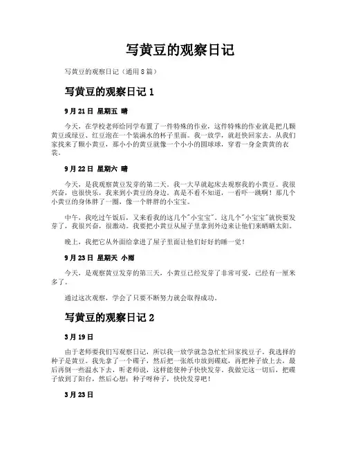 写黄豆的观察日记