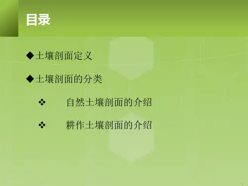土壤剖面各层次的代号与特点