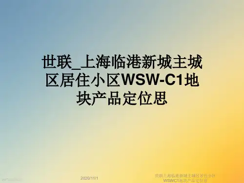世联上海临港新城主城区居住小区WSWC1地块产品定位思
