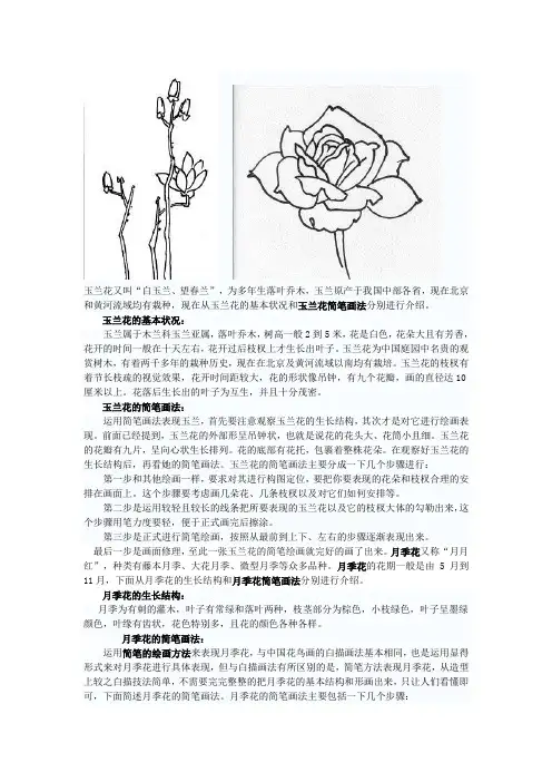 玉兰花