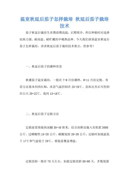 温室秋延后茄子怎样栽培 秋延后茄子栽培技术