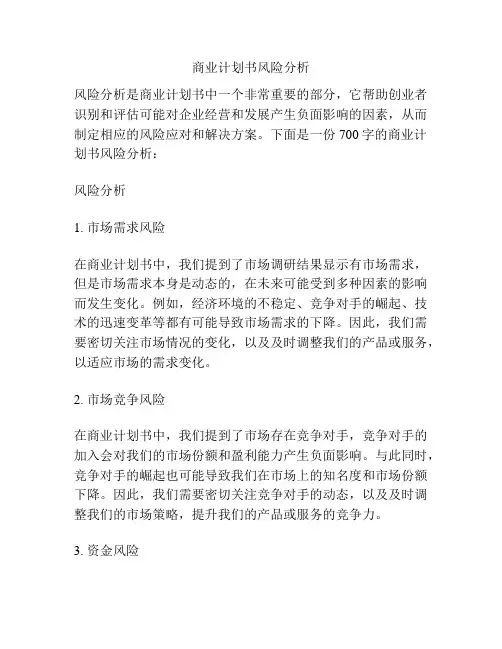 商业计划书风险分析