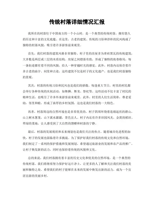 传统村落详细情况汇报