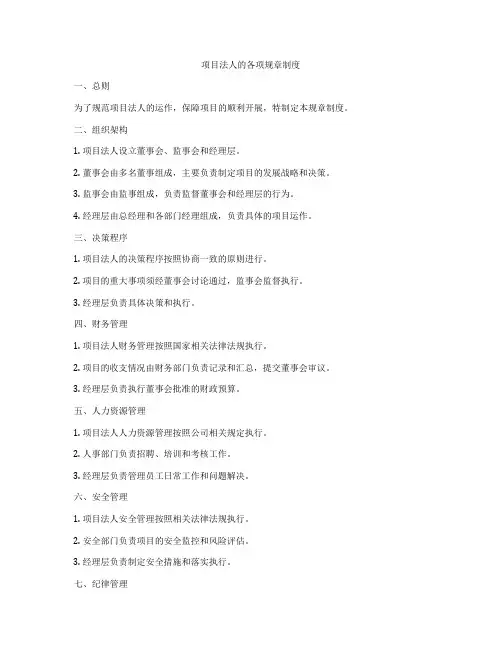 项目法人的各项规章制度