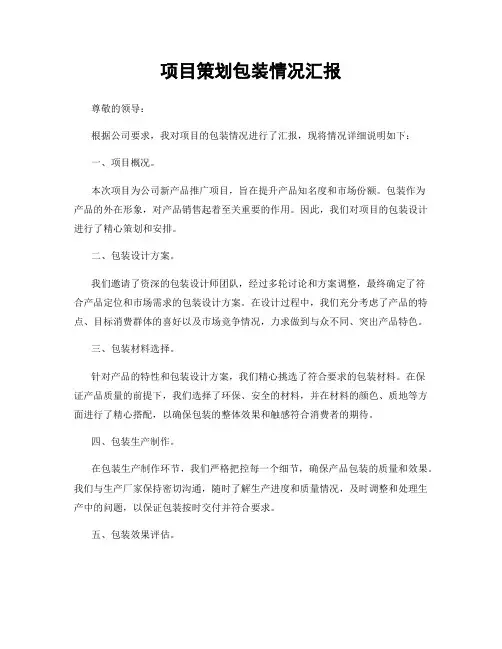 项目策划包装情况汇报