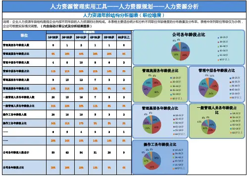 人力资源年龄结构分析图表格