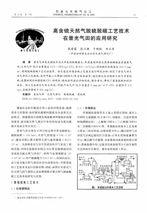 高含硫天然气脱硫脱碳工艺技术在普光气田的应用研究