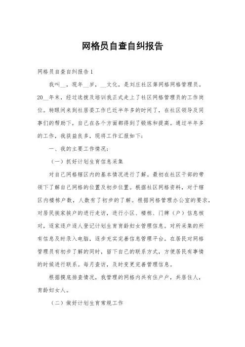网格员自查自纠报告