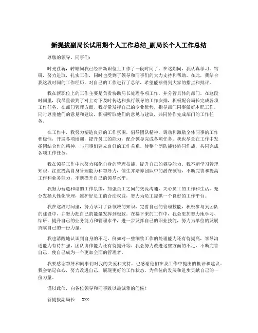 新提拔副局长试用期个人工作总结_副局长个人工作总结