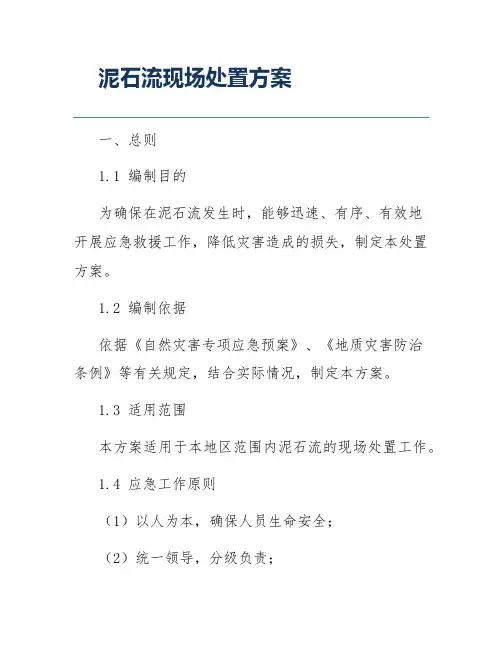 泥石流现场处置方案