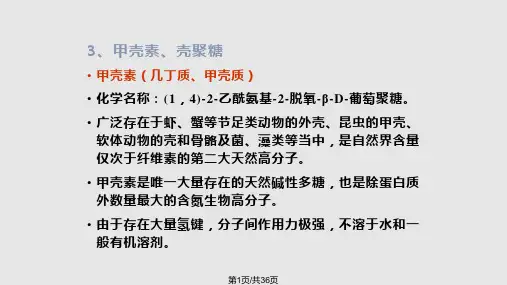 天然高分子PPT课件