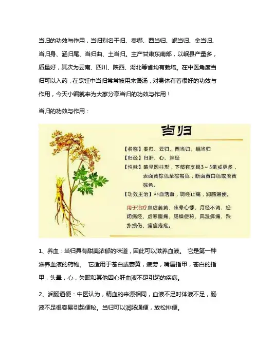 当归的功效与作用