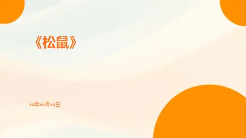 松鼠-精品文档