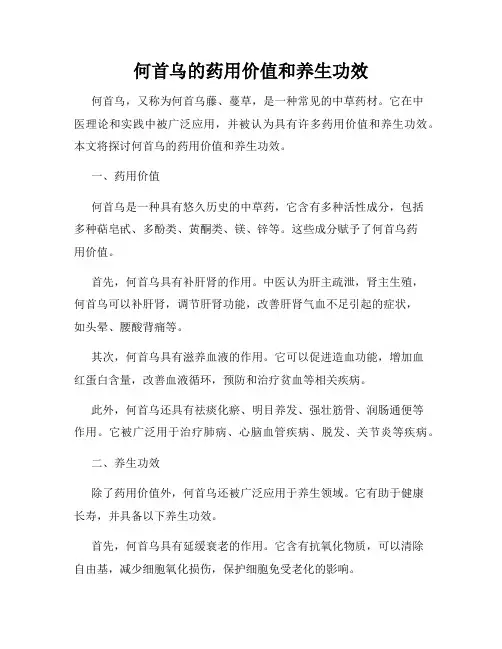 何首乌的药用价值和养生功效