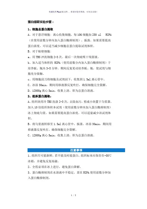蛋白提取实验步骤