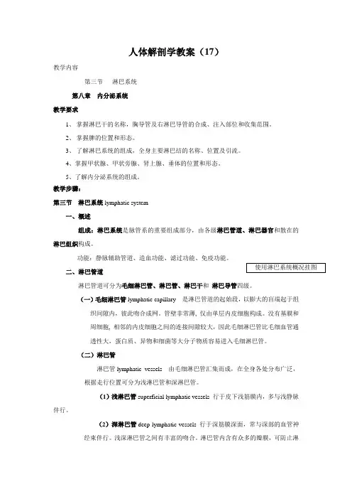 人体解剖学教案(17)