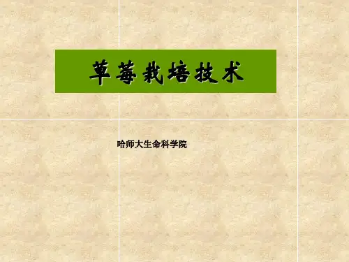 园林植物栽培学课件4草莓栽培技术