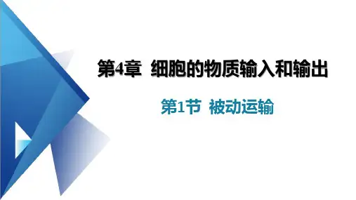 4-1被动运输课件 高一上学期生物人教版(2019)必修1 (1)