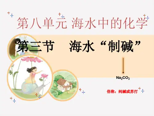 鲁教版九年级化学第八单元第三节海水“制碱”